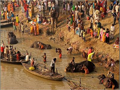 Bathing at Ganga-Gandak Sangam